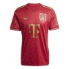 Virallinen Fanipaita FC Bayern München Vuosipäivä 2024-25 - Miesten
